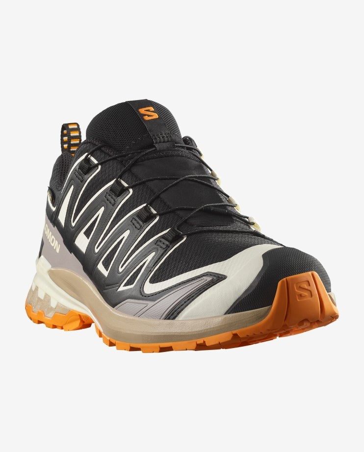 Salomon XA PRO 3D V9 GORE-TEX Men's Trail Running Shoes L478819 Black / Vanilla