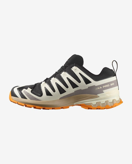 Salomon XA PRO 3D V9 GORE-TEX Men's Trail Running Shoes L478819 Black / Vanilla