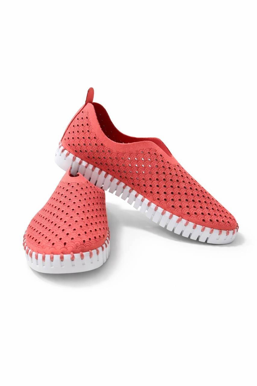 lse Jacobsen Women's Slip on TULIP 139-321100A Rough