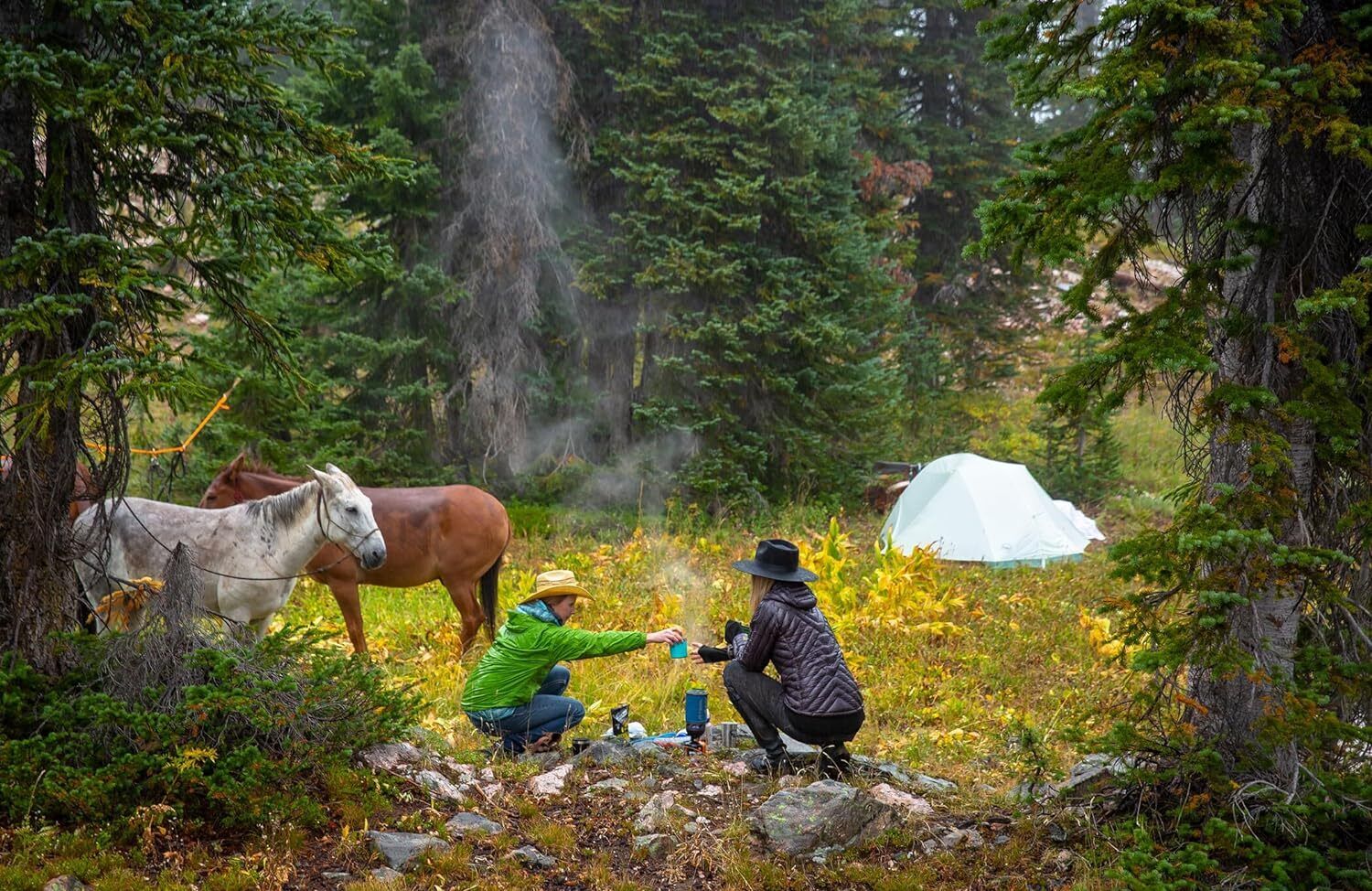 Big Agnes Tiger Wall Platinum Crazylight Gray/Blue 3Persons Backpacking Tent New - AllSportsWearUSA