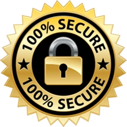 100% secure
